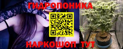 шишки Жуковский