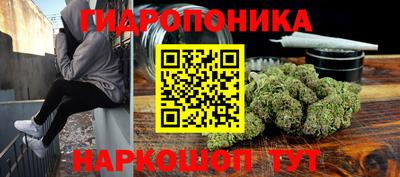 шишки Жуковский